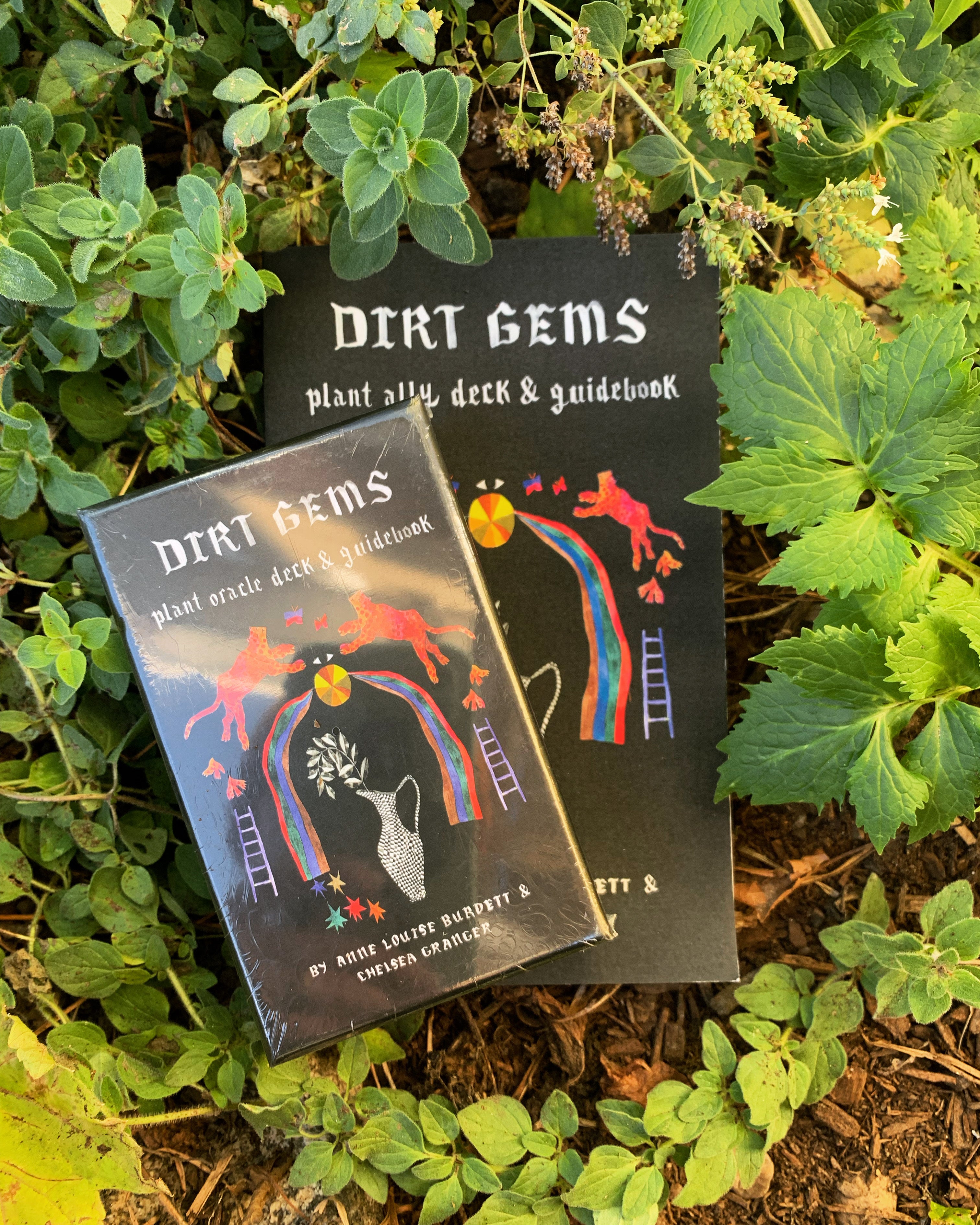 Dirt Gems Oracle Deck & Guidebook