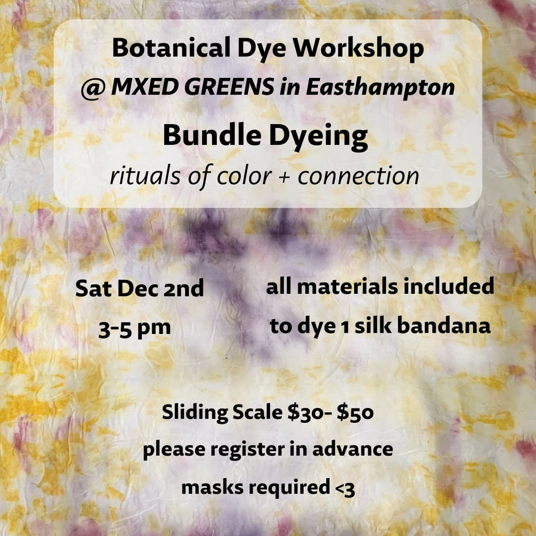 December 2023 Botanical Dye Workshop