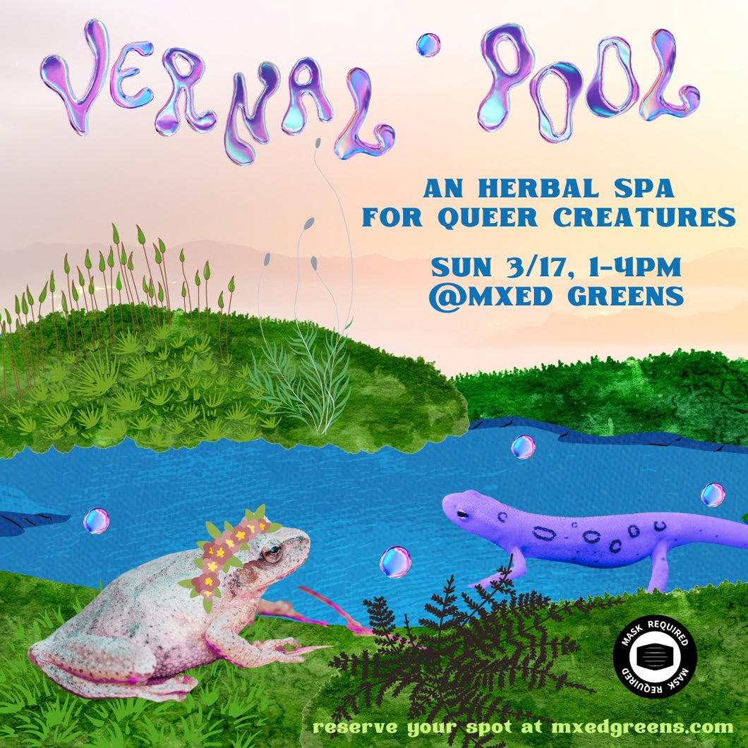 Vernal Pool ~ An Herbal Spa for Queer Creatures
