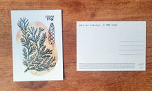 Load image into Gallery viewer, Jewish Plant Magic Postcard Set
