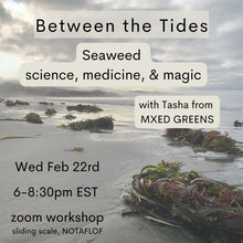 Cargar imagen en el visor de la galería, Between the Tides ~ Seaweed Workshop | 2023
