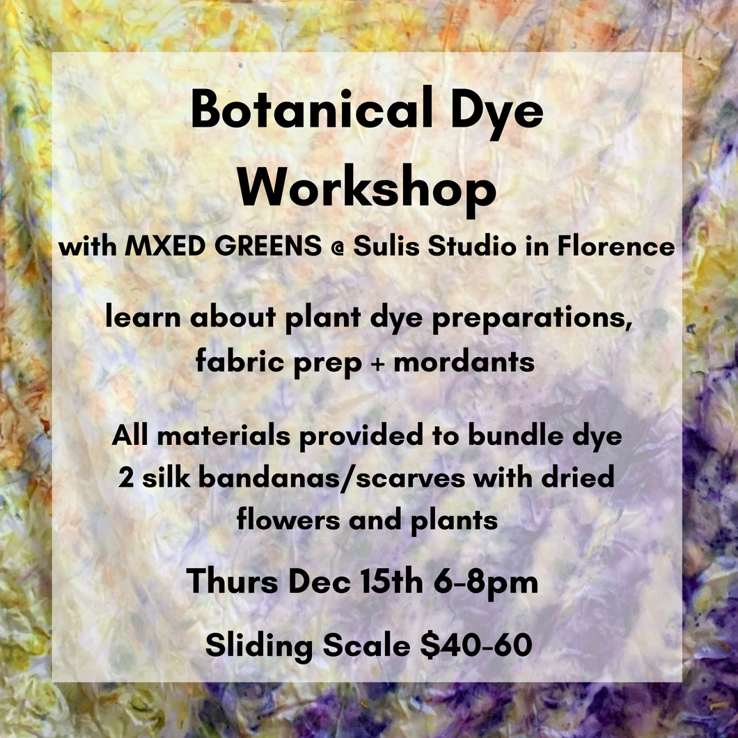 December Botanical Dye Workshop at Sulis Studio