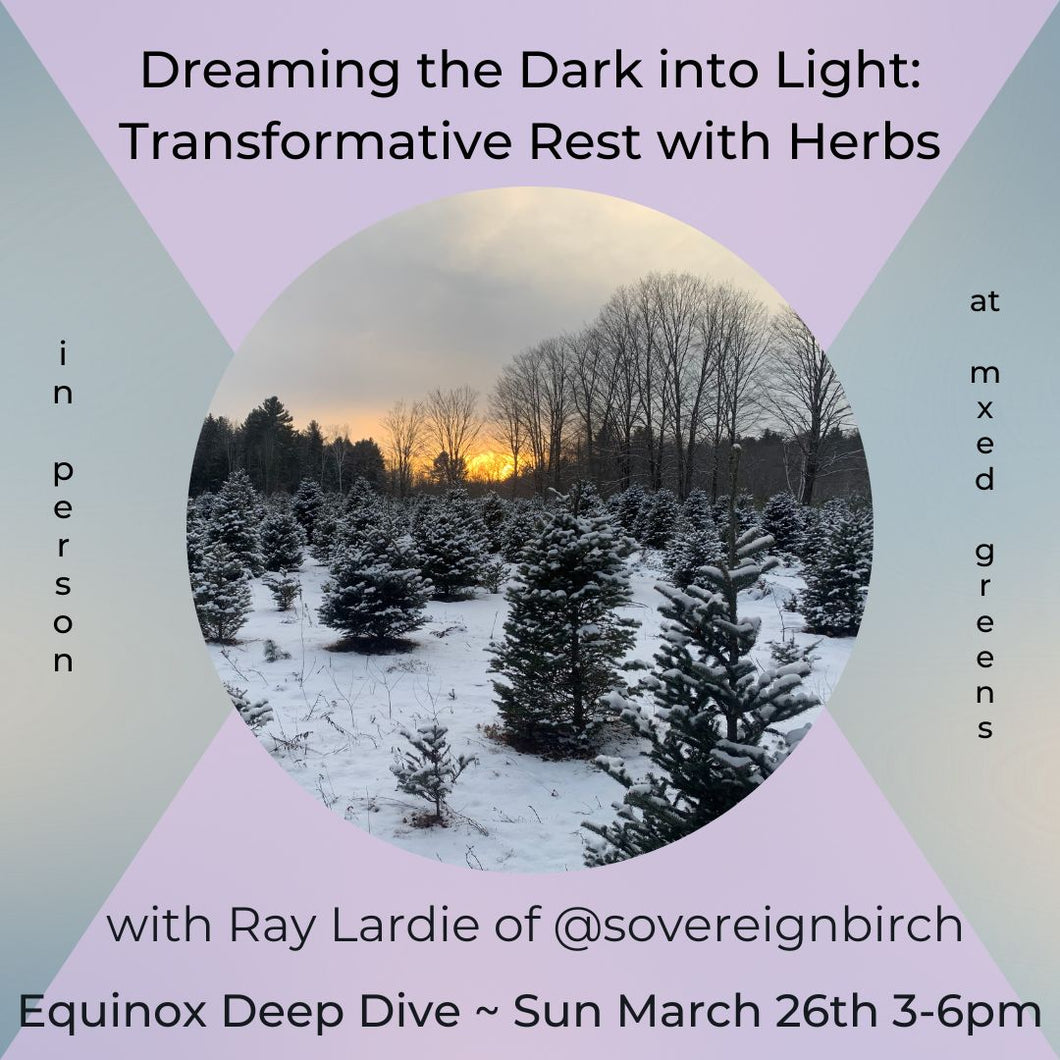 Dreaming the Dark into Light: Transformative Rest with Herbs
