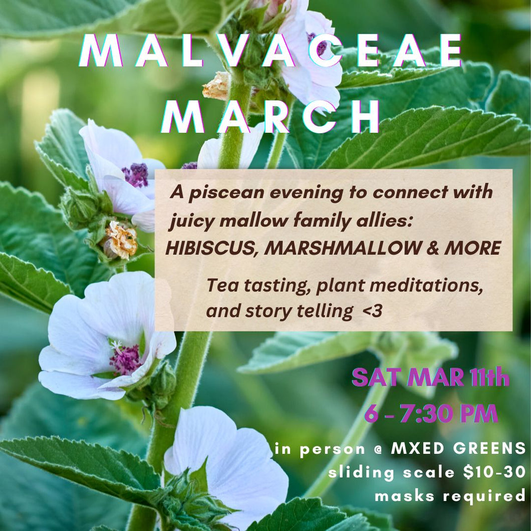Malvaceae March