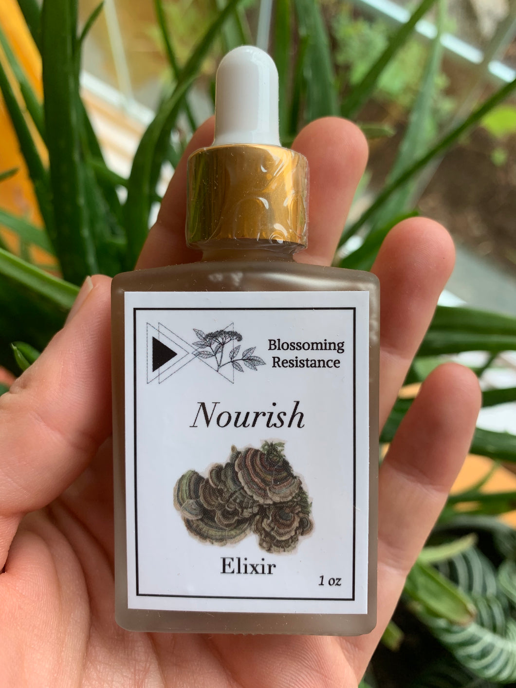 Nourish Elixir