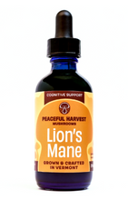 Load image into Gallery viewer, Lion&#39;s Mane mushroom tincture

